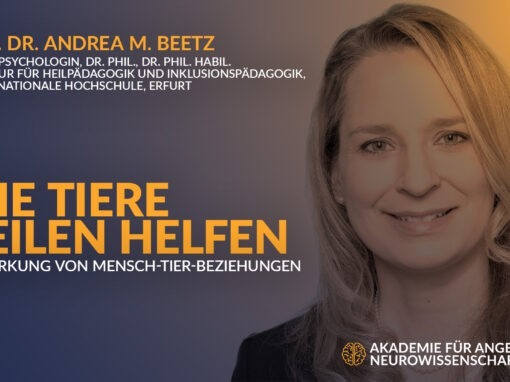 Wie Tiere heilen helfen