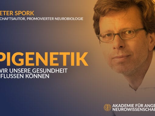 Epigenetik