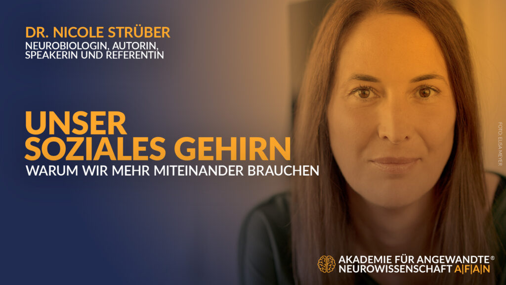 25-08 Das soziale Gehirn